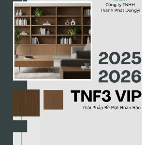 TNF3-VIP 2025-2026
