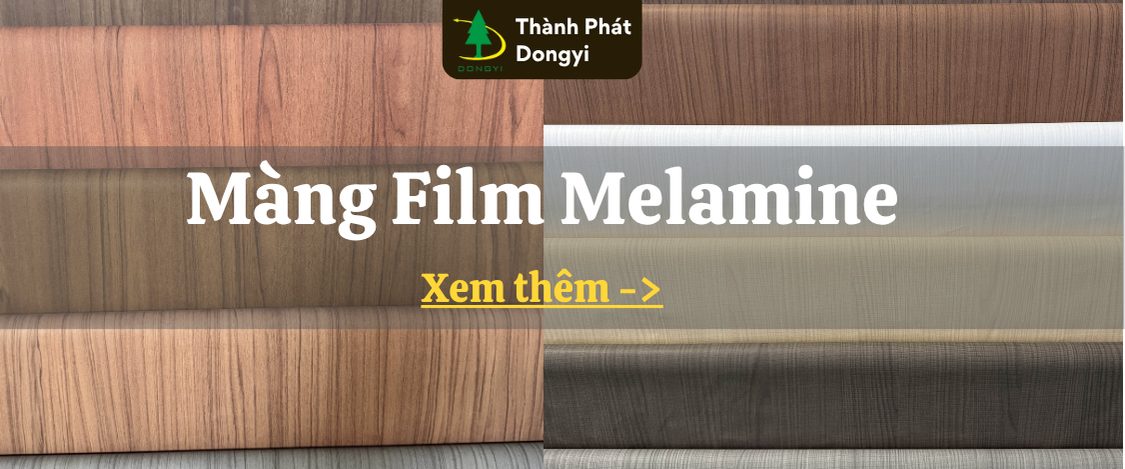 Chưa có tên (360 x 200 px) (360 x 150 px) (1)