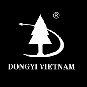 Dongyi Viet Nam 2025-1