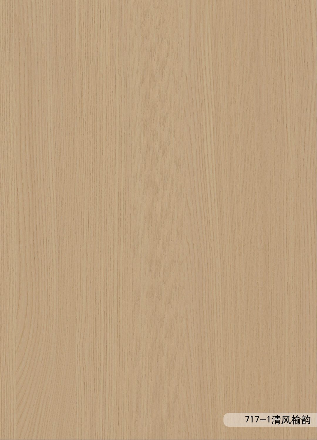 ANF717-1 ANF717-1