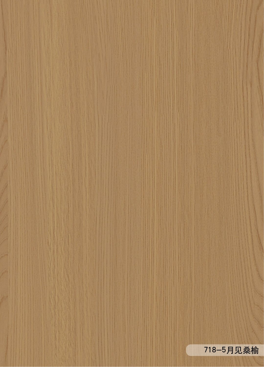 ANF718-5 ANF718-5