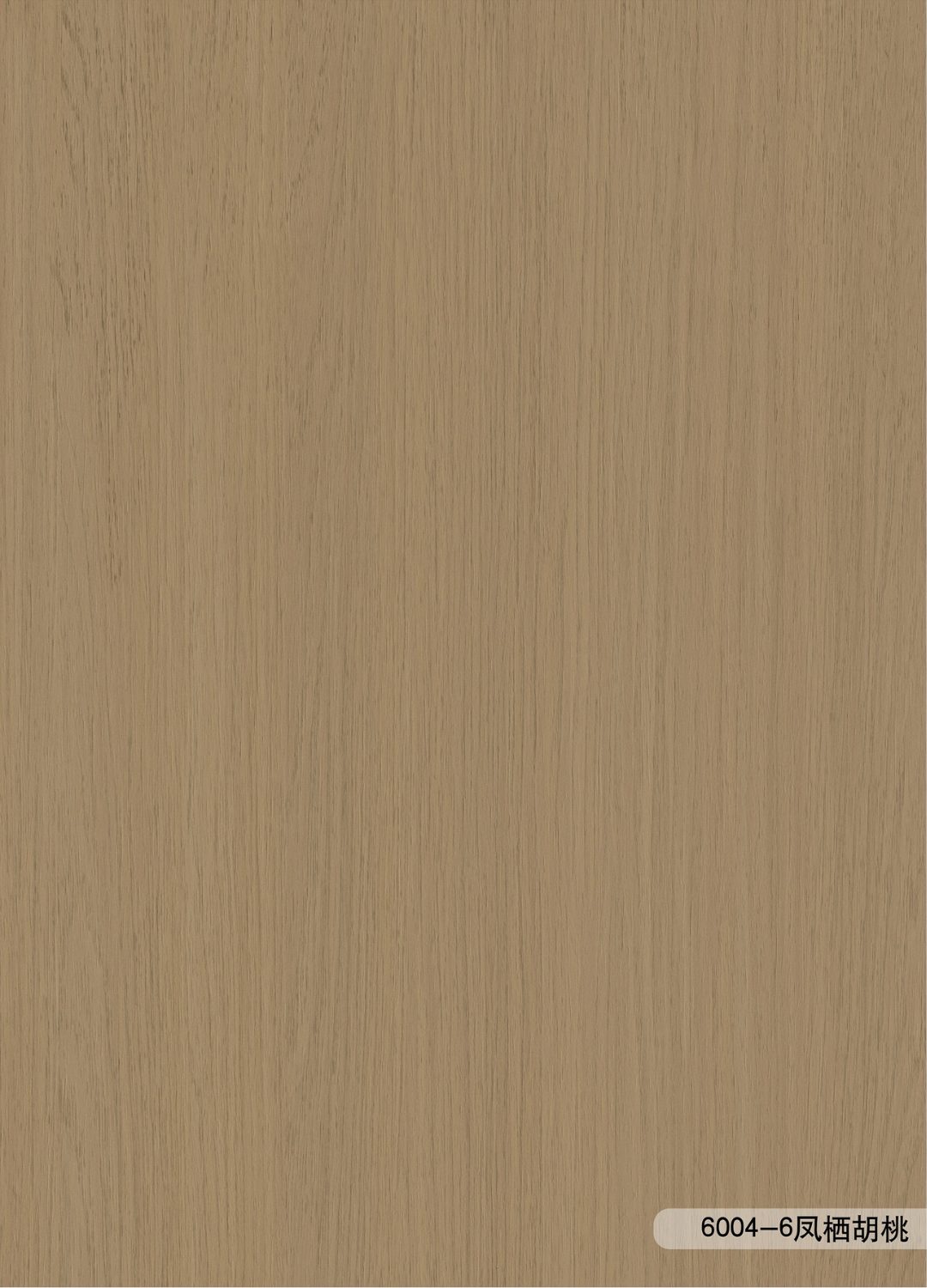 ANF6004-6 ANF6004-6
