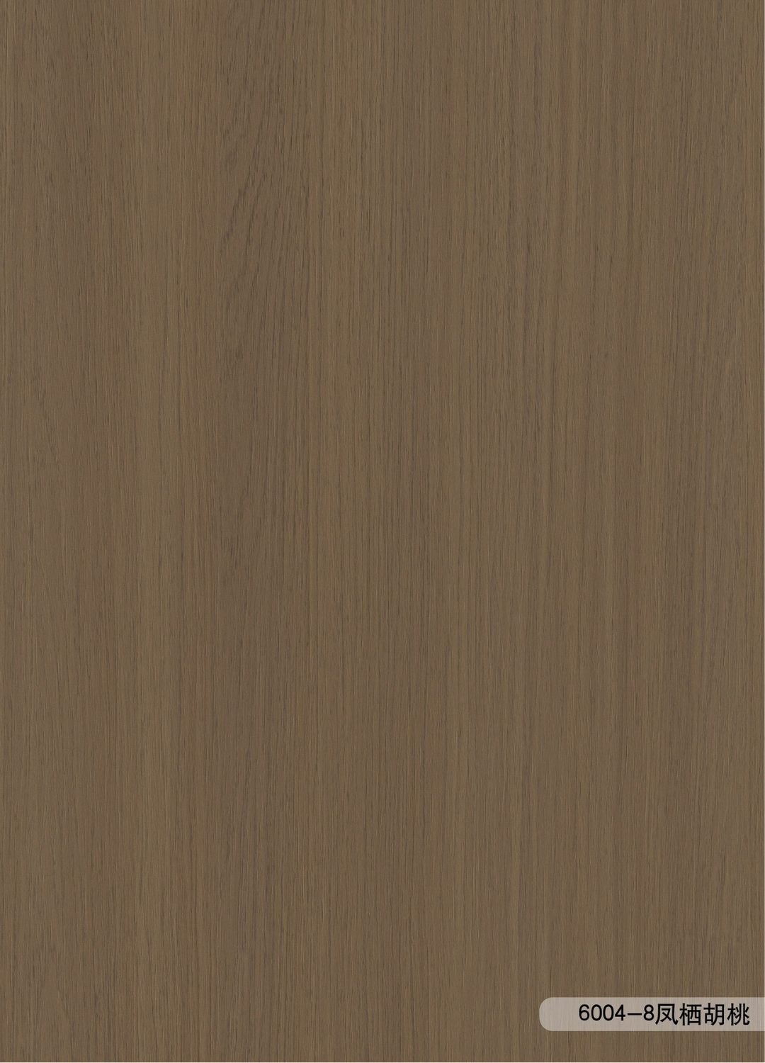 ANF6004-8 ANF6004-8