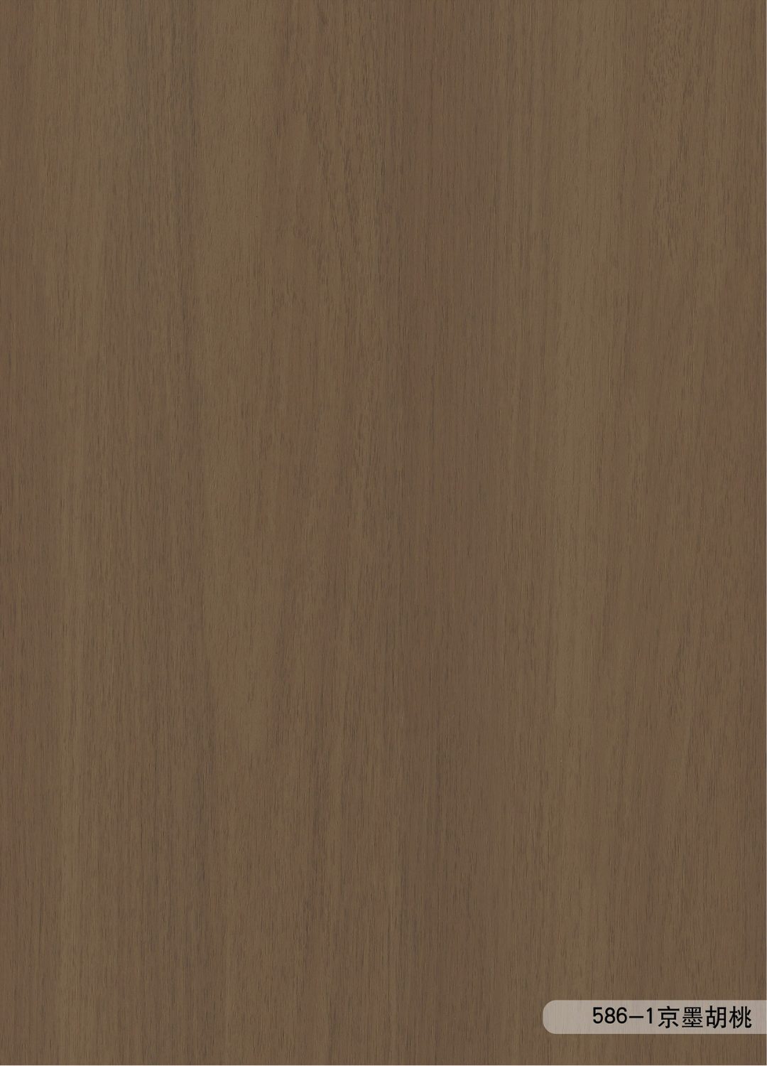 ANF586-1 ANF586-1