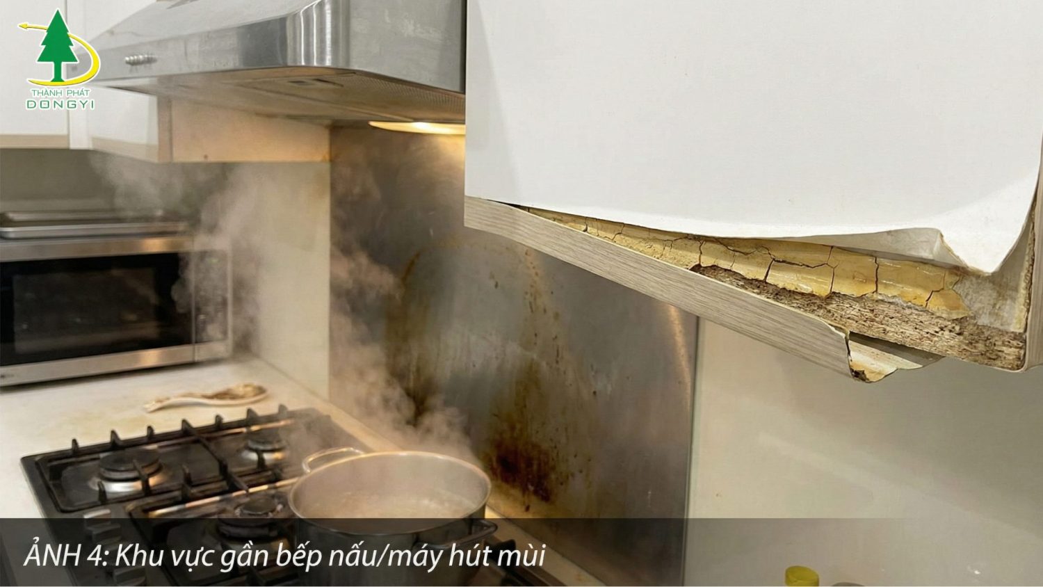 Khu vực gần bếp nấu/máy hút mùi