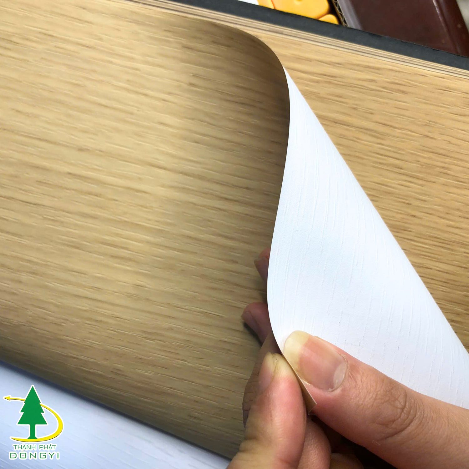 Cận cảnh mẫu màng pvc vân gỗ bên Thành Phát Dongyi