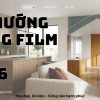Ảnh đại diện xu hướng màng film pvc năm 2026