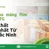 Màng Film PVC Thành Phát Dongyi – Kho Hàng Uy Tín Tại Từ Sơn Bắc Ninh