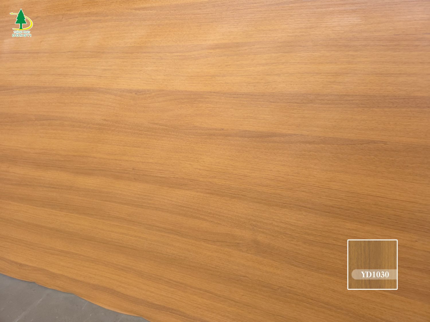 Màng film pvc vân gỗ sồi màu vàng mật ong mã YD1030 Thành Phát Dongyi-3 Màng film pvc vân gỗ sồi màu vàng mật ong mã YD1030 Thành Phát Dongyi-3