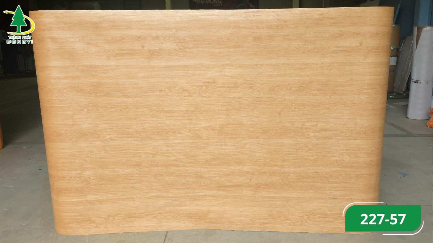 Màng film pvc vân gỗ sồi nga mã 227-57 màu vàng tự nhiên