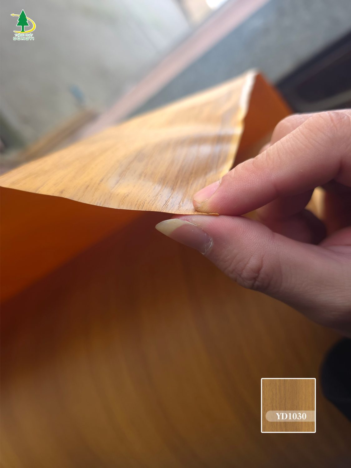 Màng pvc vân gỗ sồi màu vàng mật ong mã YD1030 Thành Phát Dongyi-2 Màng pvc vân gỗ sồi màu vàng mật ong mã YD1030 Thành Phát Dongyi-2