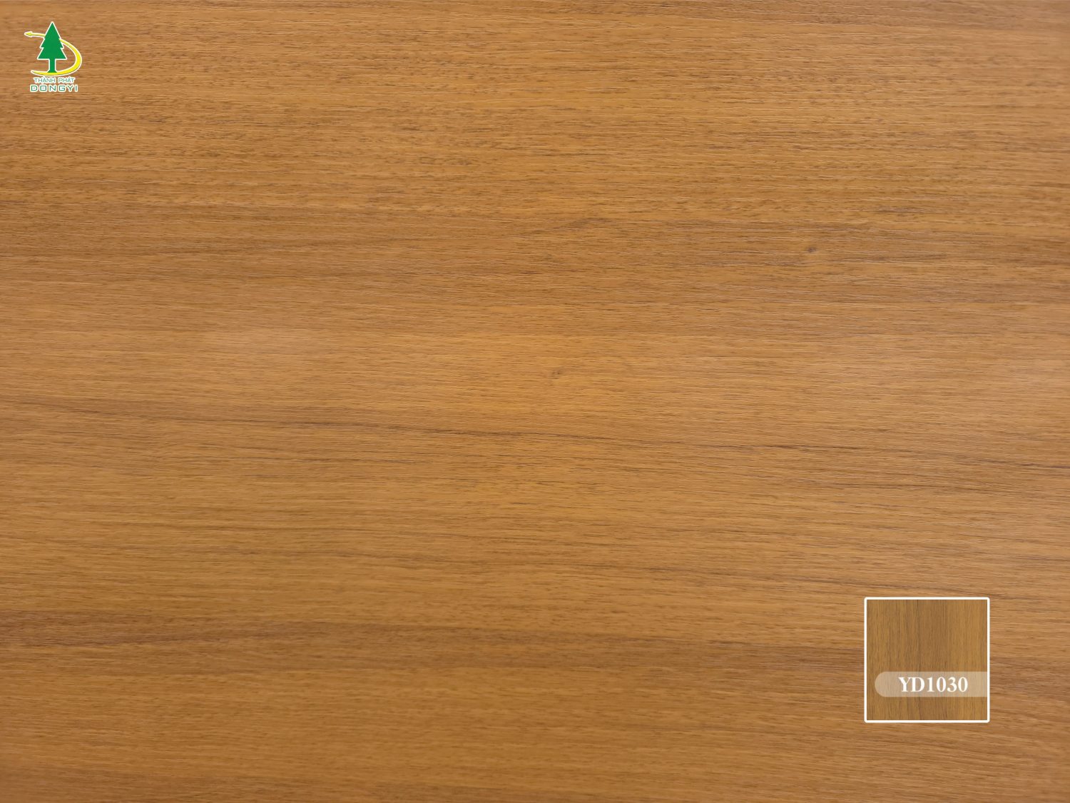 Màng pvc vân gỗ sồi màu vàng mật ong mã YD1030 Thành Phát Dongyi-4 Màng pvc vân gỗ sồi màu vàng mật ong mã YD1030 Thành Phát Dongyi-4