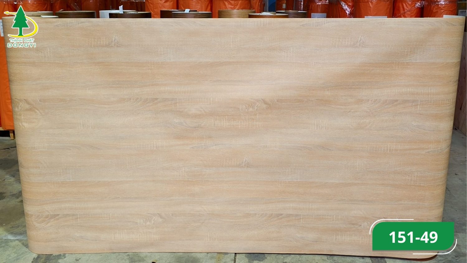Màng pvc vân gỗ sồi mộc mã 151-49