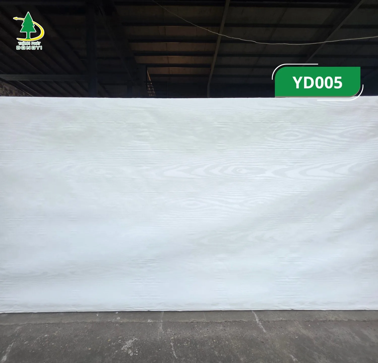màng film pvc vân gỗ Sồi Trắng YD005 Thành Phát Dongyi -4