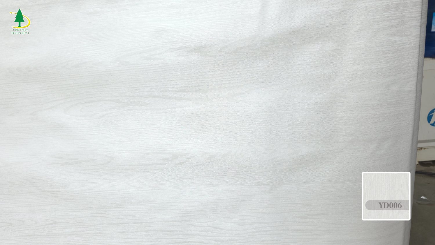 màng film pvc vân gỗ YD006A -4 Gỗ Sồi Trắng Thành Phát Dongyi màng film pvc vân gỗ YD006A -3 Gỗ Sồi Trắng Thành Phát Dongyi