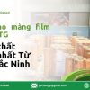 Kho màng pvc Thành Phát Dongyi tại Bắc Ninh