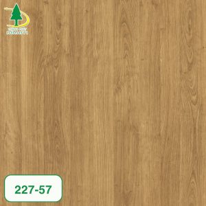 Mã màng film pvc Thành Phát Dongyi mã 227-57