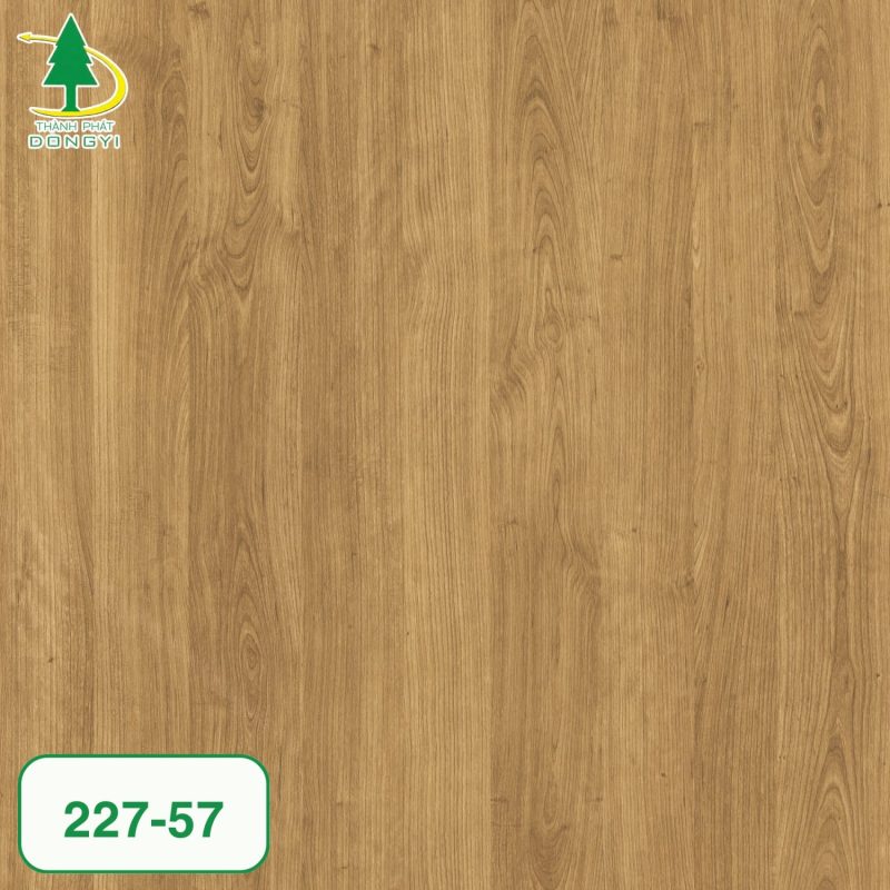 Mã màng film pvc Thành Phát Dongyi mã 227-57