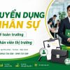 Tuyển dụng Thành Phát Dongyi , Kim Thiều Bắc Ninh